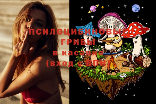 гидра Алексеевка