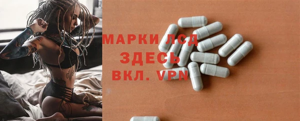 сатива Алзамай