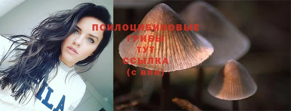 сатива Алзамай
