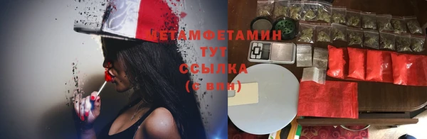 сатива Алзамай