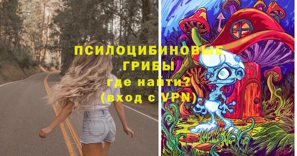 сатива Алзамай