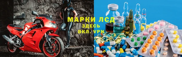 сатива Алзамай