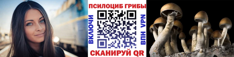 Галлюциногенные грибы Magic Shrooms  гидра маркетплейс  Коркино 